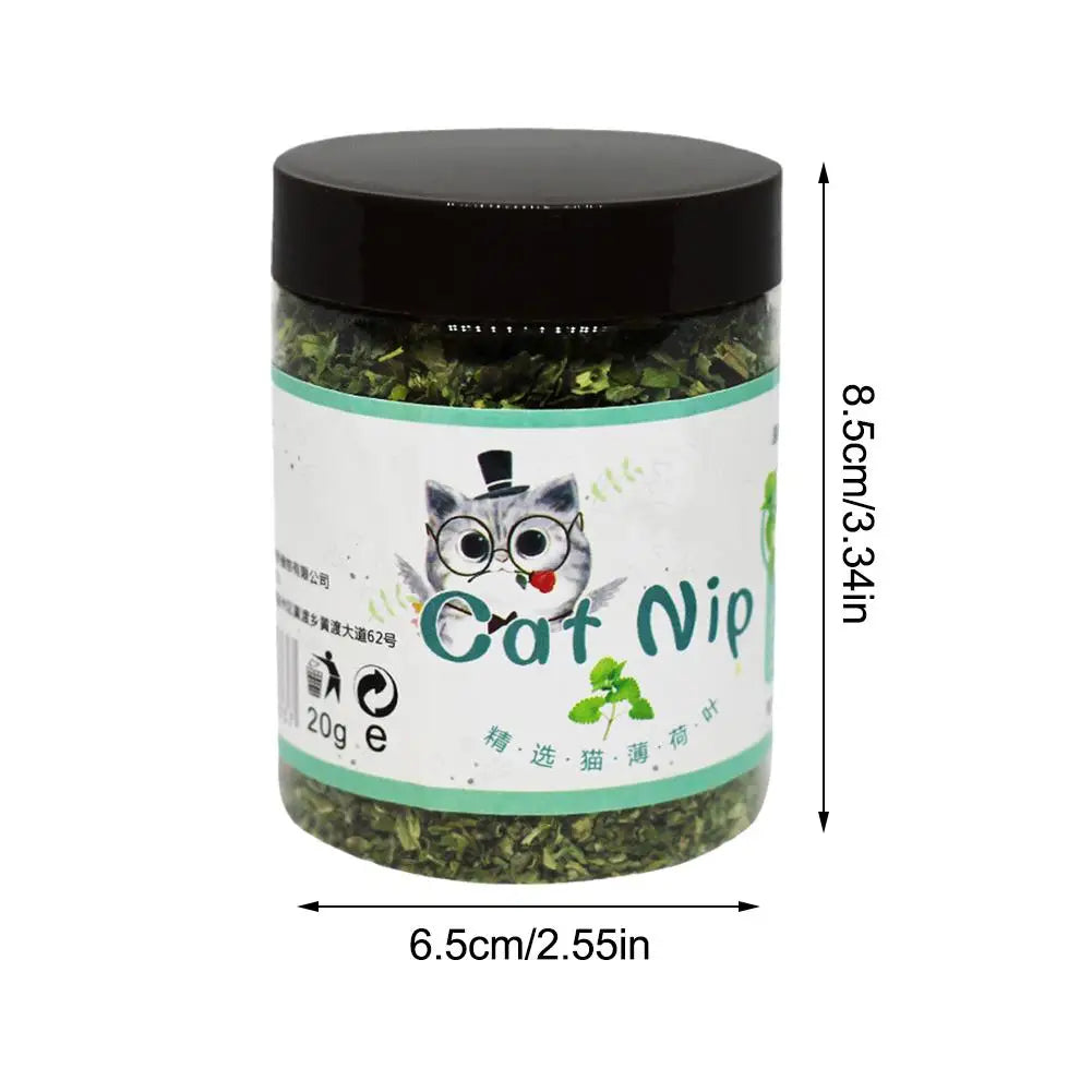 High-end Organic Natural High Quality Catnip Cattle Grass Mint Taste Funny Cat Toy 20g Interactive Cat Toys Pet Supplies