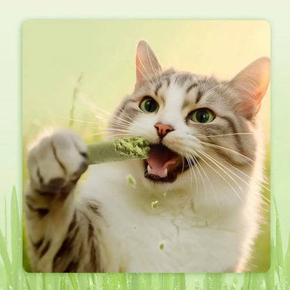 1/3/6pcs Cat Grass Scented Stick Pet Snacks Hairball Removal Mild Hair Row Ready To Eat Cat Teeth Cleaning Sticks Pet Supplies