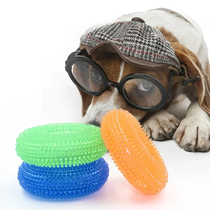 Squeaky Interactive Chew Toy