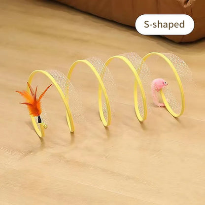 46033050763509