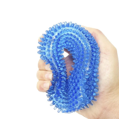 Squeaky Interactive Chew Toy