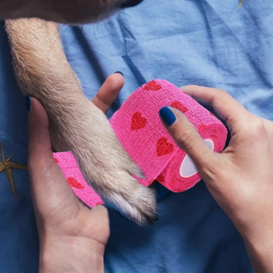 Rose Red Heart Rolls Bandages Elastic Nonwovens Bandage Non-woven Practical Beautiful Eco-friendly Elastoplast for Pets Animal