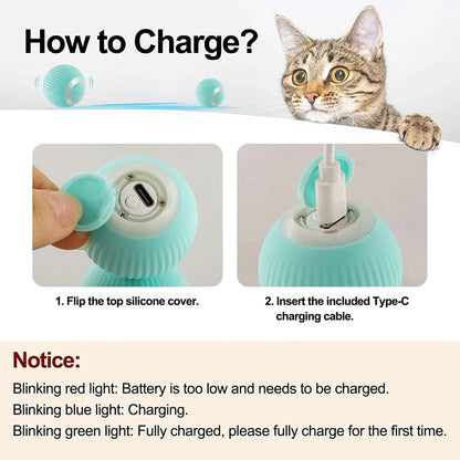 Smart Interactive Cat Toy Car