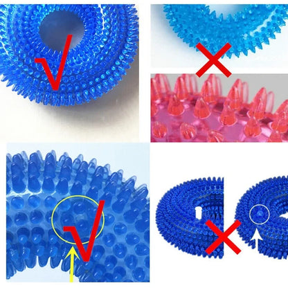 Squeaky Interactive Chew Toy