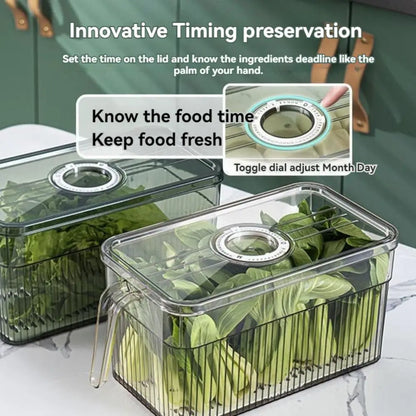 Refrigerator Storage Box Food Grade Kitchen Food Vegetable Preservation Box Refrigerator Frozen Dumplings Fruit Egg Storage Box